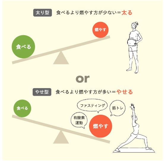 「太り型」　食べるより燃やす方が少ない、「やせ型」　食べるより燃やす方が多い