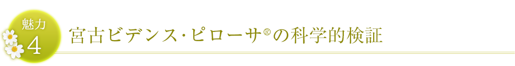 ビデンスピローサの科学的検証