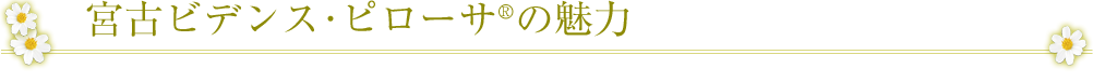 宮古ビデンスピローサの魅力