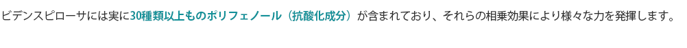 ビデンスピローサには実に30種類以上ものポリフェノール（抗酸化成分）が含まれており、それらの相乗効果により様々な力を発揮します。
